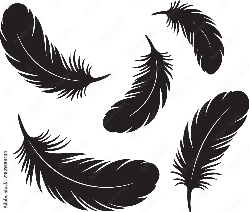 Obraz premium Feather icon set in black silhouette on transparent isolated background