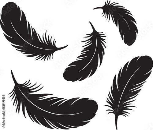 Feather icon set in black silhouette on transparent isolated background