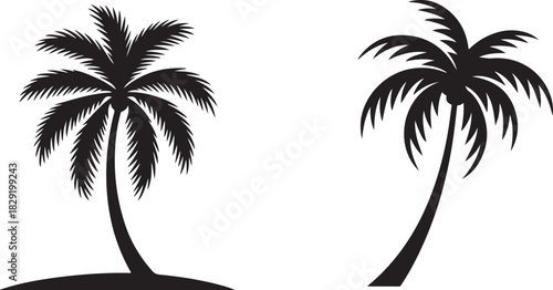 Palm tree in black silhouette style on transparent backdrop for summer themes