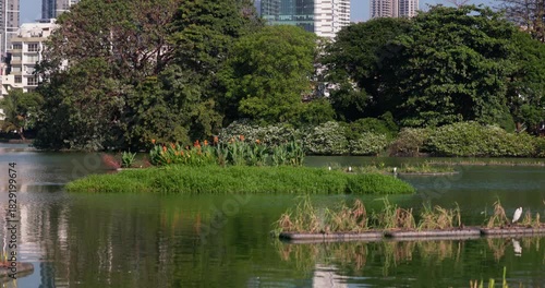 Wallpaper Mural Modern Colombo skyline overlooking a lakeside with floating islands and egrets, Sri Lanka Torontodigital.ca