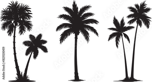 Tropical palm tree silhouette set isolated on white background – beach coconut tree black vector illustration for summer, vacation, or tropical design