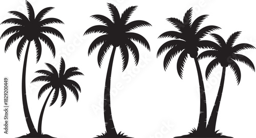 Tropical palm tree silhouette set isolated on white background – beach coconut tree black vector illustration for summer, vacation, or tropical design