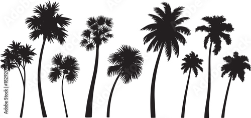 Tropical palm tree silhouette set isolated on white background – beach coconut tree black vector illustration for summer, vacation, or tropical design