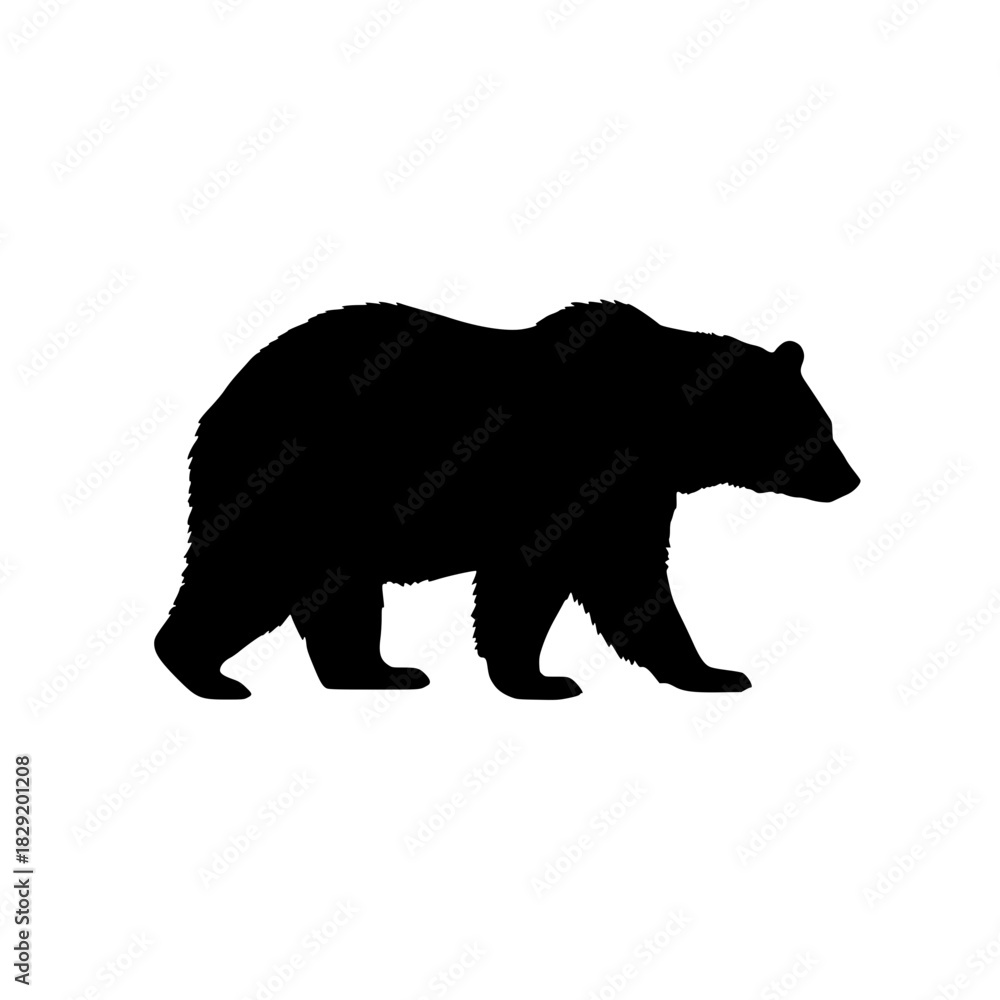Fototapeta premium bear silhouette vector
