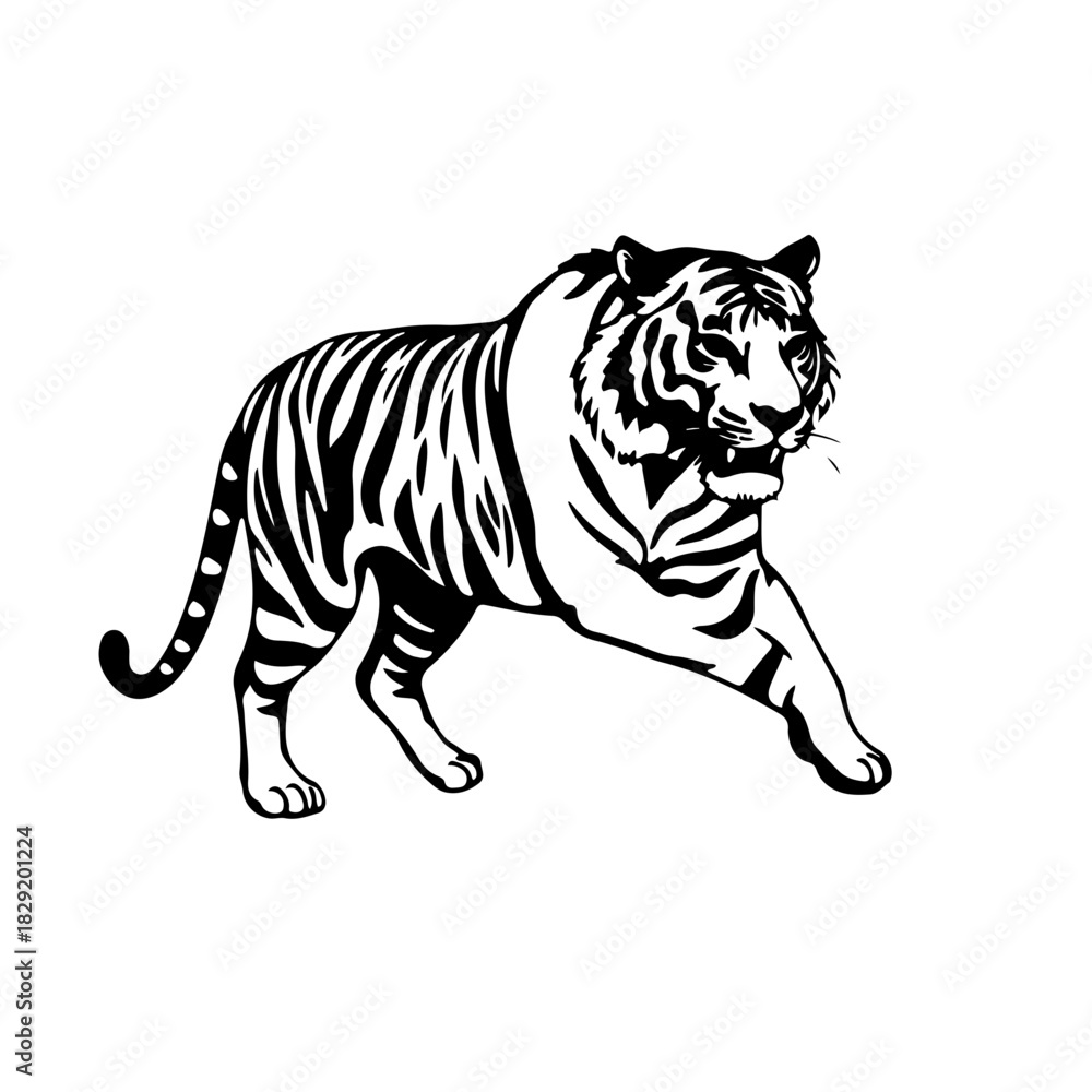 Obraz premium tiger vector illustration