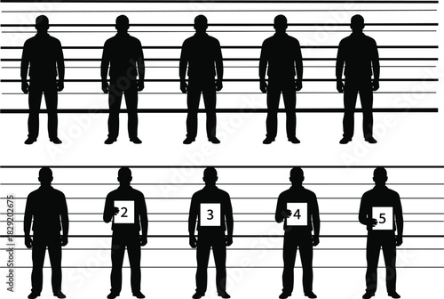 Silhouette suspect lineup illustration with height measurement lines and numbered individuals, police identification scene for crime investigation, forensic profiling, law enforcement