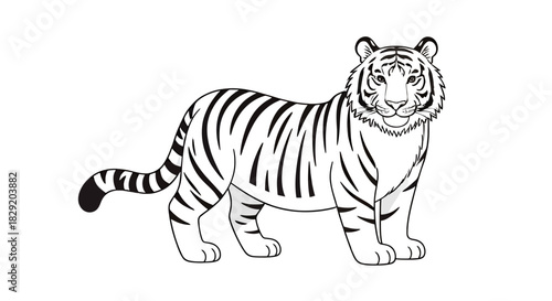 A beautifully rendered black and white vector illustration of a majestic tiger standing calmly, perfect for graphic design projects and educational materials.