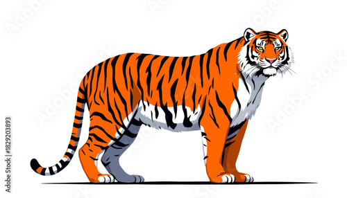 A majestic and powerful tiger with striking orange and black stripes stands confidently, depicted as a clean vector illustration on a white background.