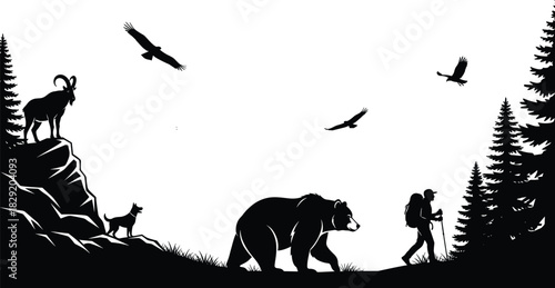 Black silhouette of mountain hiker and wildlife vector illustration: grizzly bear, dog, wild goat, eagles, and fir trees in a wilderness landscape for hiking or adventure tourism.