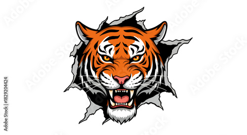 A fierce orange and black striped tiger head with an open mouth and sharp fangs dramatically rips through a white background, creating a dynamic and powerful vector illustration.