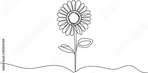 Daisy flower continuous line art vector – simple elegant floral design outline for nature, botanical, or spring decoration illustration
