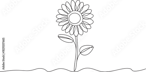 Daisy flower continuous line art vector – simple elegant floral design outline for nature, botanical, or spring decoration illustration
