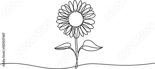 Daisy flower continuous line art vector – simple elegant floral design outline for nature, botanical, or spring decoration illustration