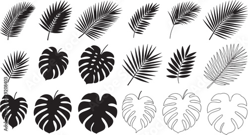 Tropical leaf silhouette set vector – palm, monstera, and fern leaves black and outline botanical shapes for exotic nature or summer design art