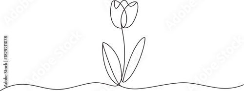 Tulip flower continuous line art vector – elegant single blossom outline minimal design for spring, floral, or botanical illustration concept
