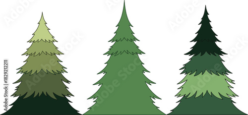Three Stylized Pine Trees Vector Set, Layered Gradient Shades of Green for Nature and Holiday Design