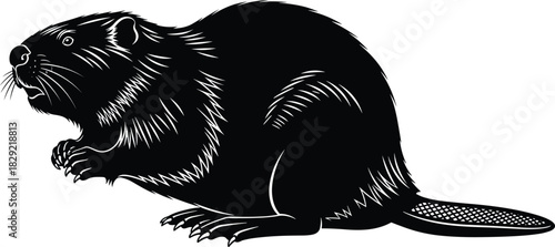 Highly Detailed Black and White Beaver Vector Illustration, Rodent Animal with Flat Tail, Mammal Side View Graphic Design Isolated on White Background for Logo, Emblem, or Mascot Artwork