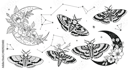 Collection of mystical hand-drawn illustrations featuring celestial moths, floral crescent moons, and star constellations.