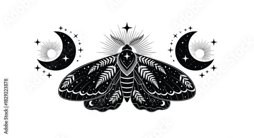 Mystical black and white illustration of a celestial moth with radiant crescent moons and sparkling stars on a clean background.