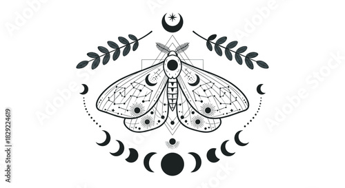 Mystical moth illustration with constellations on its wings, framed by the lunar cycle, botanicals, and sacred geometry elements.