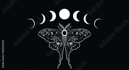 Stark white silhouette of a detailed moth positioned beneath the lunar cycle of moon phases on a solid black background.