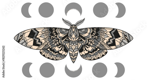 Ornate moth illustration with intricate geometric patterns on its wings, centrally framed by two rows of moon phase symbols.