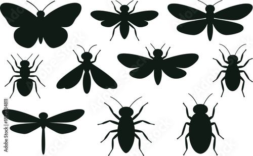 A comprehensive set of common insect and bug silhouettes displayed against a pristine white backdrop