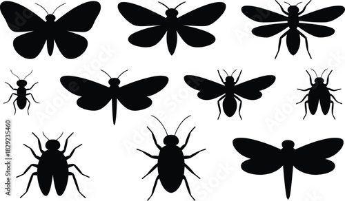 A diverse collection of various insect and bug silhouettes presented on a clean white background