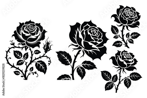 Black rose silhouettes with leaves and thorns flower
