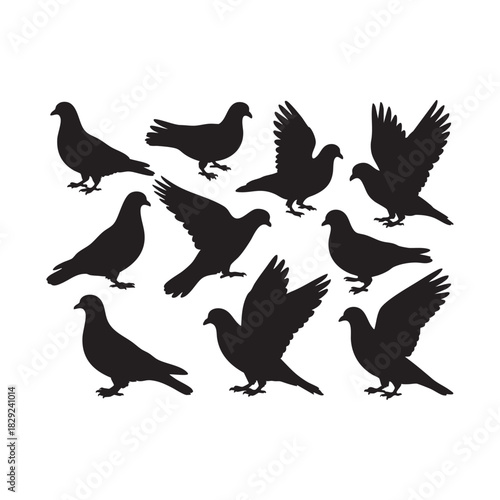 Set of Black Pigeon Silhouettes in Various Poses - Dove Vector Collection Title 2: Flying and Sitting Bird Silhouettes - Peace and Freedom Symbol Vector Graphics Title 3: Collection of Different Dove 