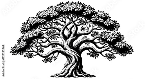 Majestic Ancient Oak Tree Symbolizing Growth Heritage and Strong Foundation Design Element