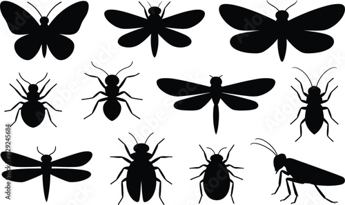 Collection of diverse insect silhouettes including butterflies ants and dragonflies on white