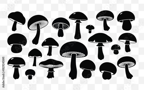 Collection of hand drawn mushrooms in black and white ink