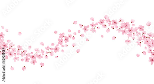 Delicate pink cherry blossom branches gracefully curve across a white background with falling petals.
