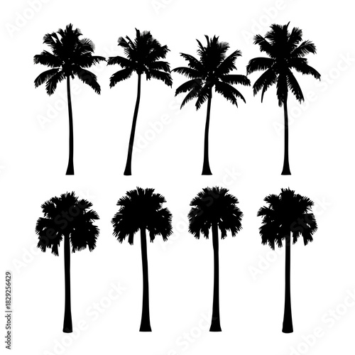 Eight black silhouette palm trees