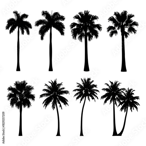 Eight black silhouette palm trees