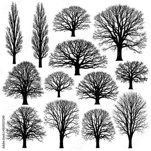 Collection of various types of trees with different shapes and sizes