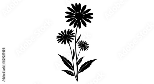 Black Silhouette Daisy Flowers Stem Minimalist Botanical Graphic Design Element Vector Illustration