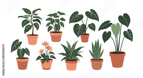 A collection of various potted houseplants and decorative indoor plants in a simple, flat design style, perfect for home decor concepts.