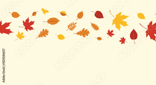 A vibrant collection of colorful autumn leaves, including maple and oak, gently cascade across a light background, perfect for fall seasonal designs.