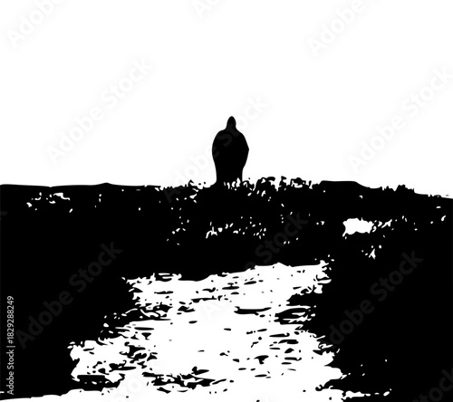 silhouette of a man, a man standing alone