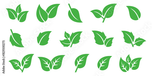 Leaf vector symbol, leaf illustration or leaf emoji in flat style. Spring leaf design, ecological nature theme.	
