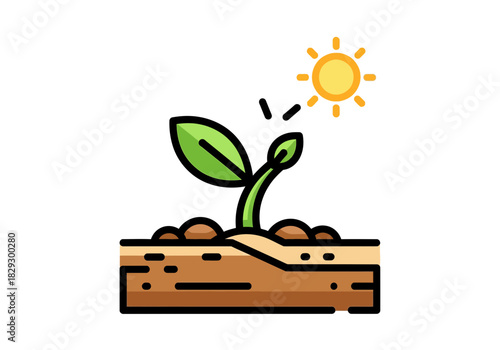 Young plant growing from soil with sun shining above it nature concept.