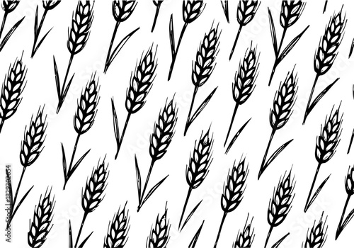 Wheat hand drawn simple sketch vector illustration