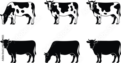 Group of black and white cow illustrations including grazing animals and standing full silhouettes