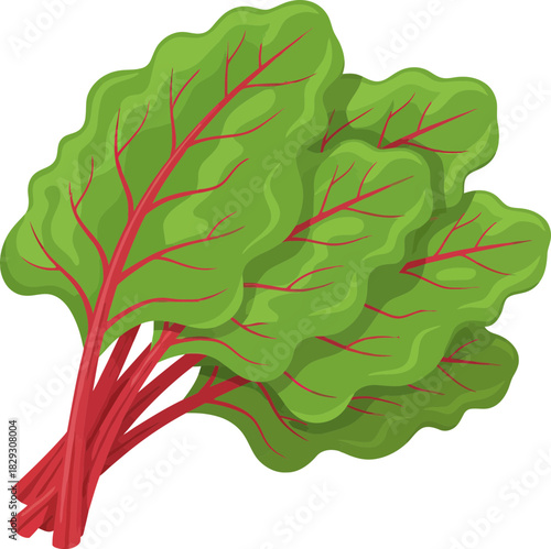 fresh vibrant swiss chard with bright green leaves and striking red stems on a transparent background perfect for culinary and health applications