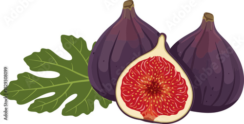 Vivid illustration of fresh ripe figs with lush green leaves on a transparent background showcasing natural fruit beauty and vibrant colors