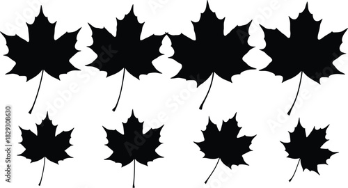 Set of Black Maple Leaf Silhouettes Vector Illustration for Canada Autumn Fall Season Nature Graphic Design and Decoration Elements.