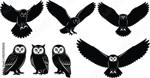 Vector Collection of Owl Silhouettes with Outline Detail in Flying and Perching Poses for Nocturnal Bird Wildlife Logo and Nature Design.