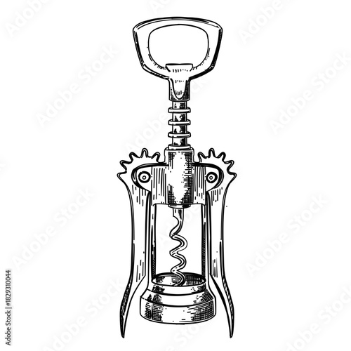 Corkscrew vector line art hand drawn illustration